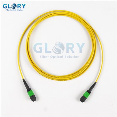 Cable tal-fibra Mpo 12